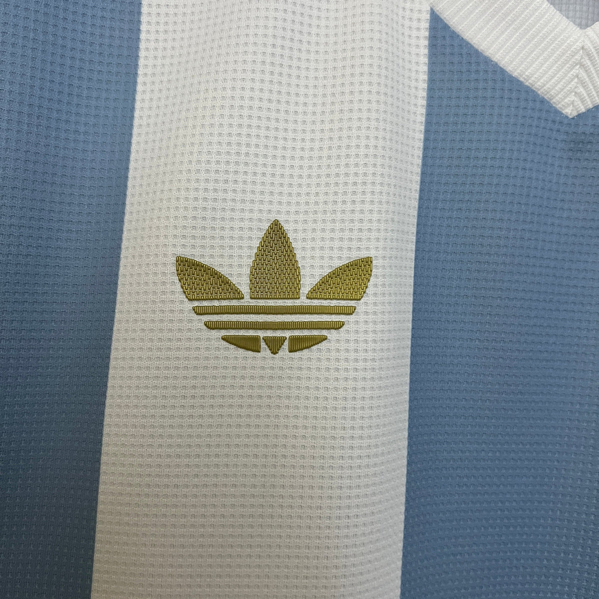 Argentina 2024 50 Aniversario (Fan Version)
