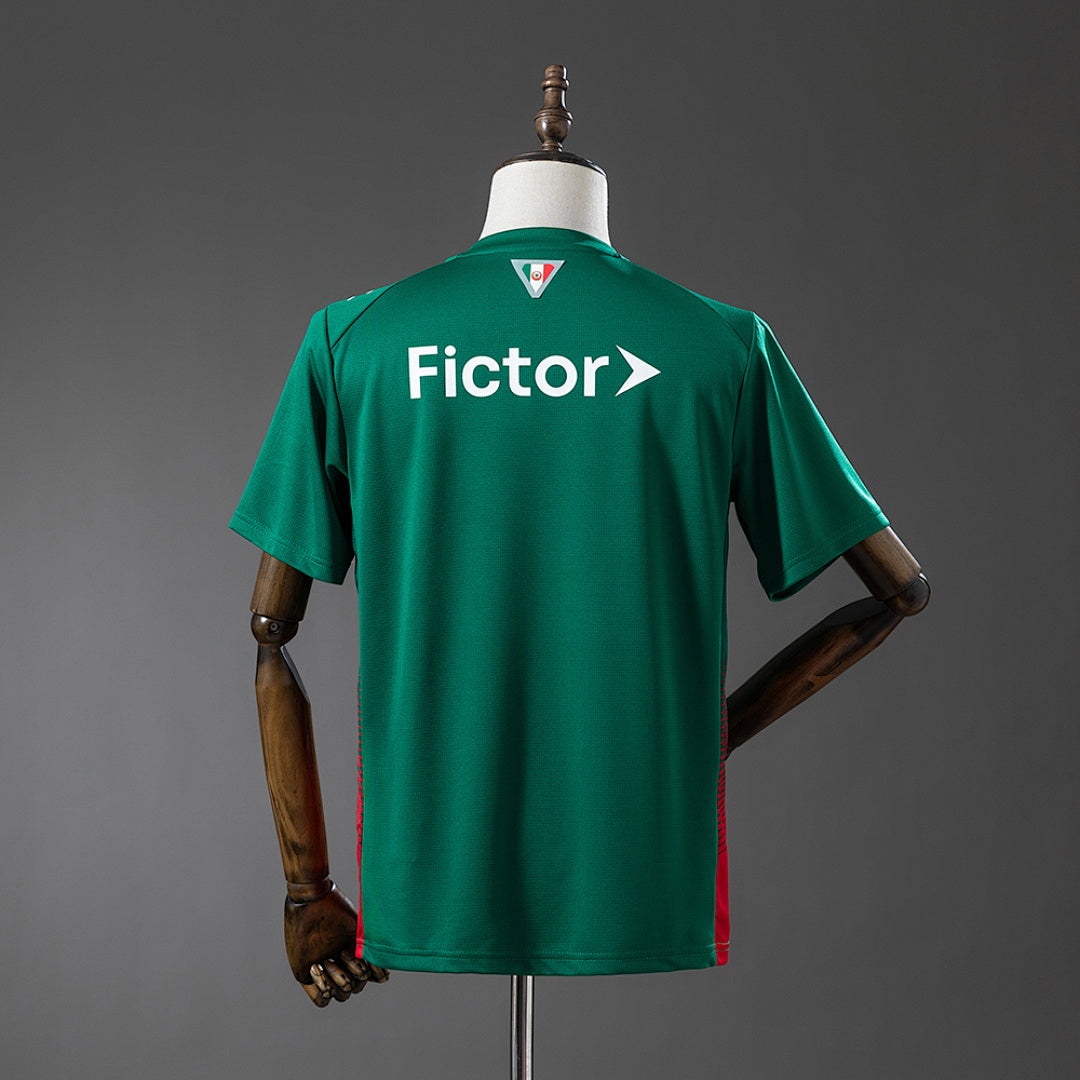 Palmeiras 26-27 Local (Fan Version)