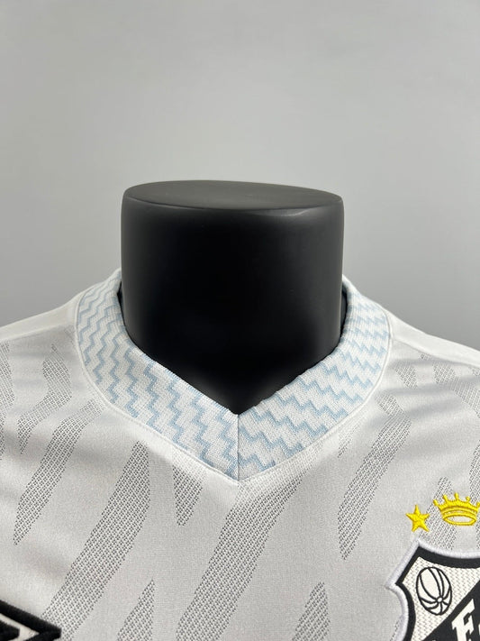 Santos 2025 Local (Fan Version)