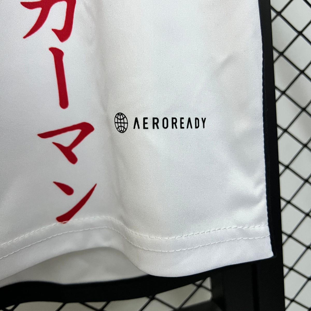 Japón 2024 Edición Especial 13 (Fan Version)
