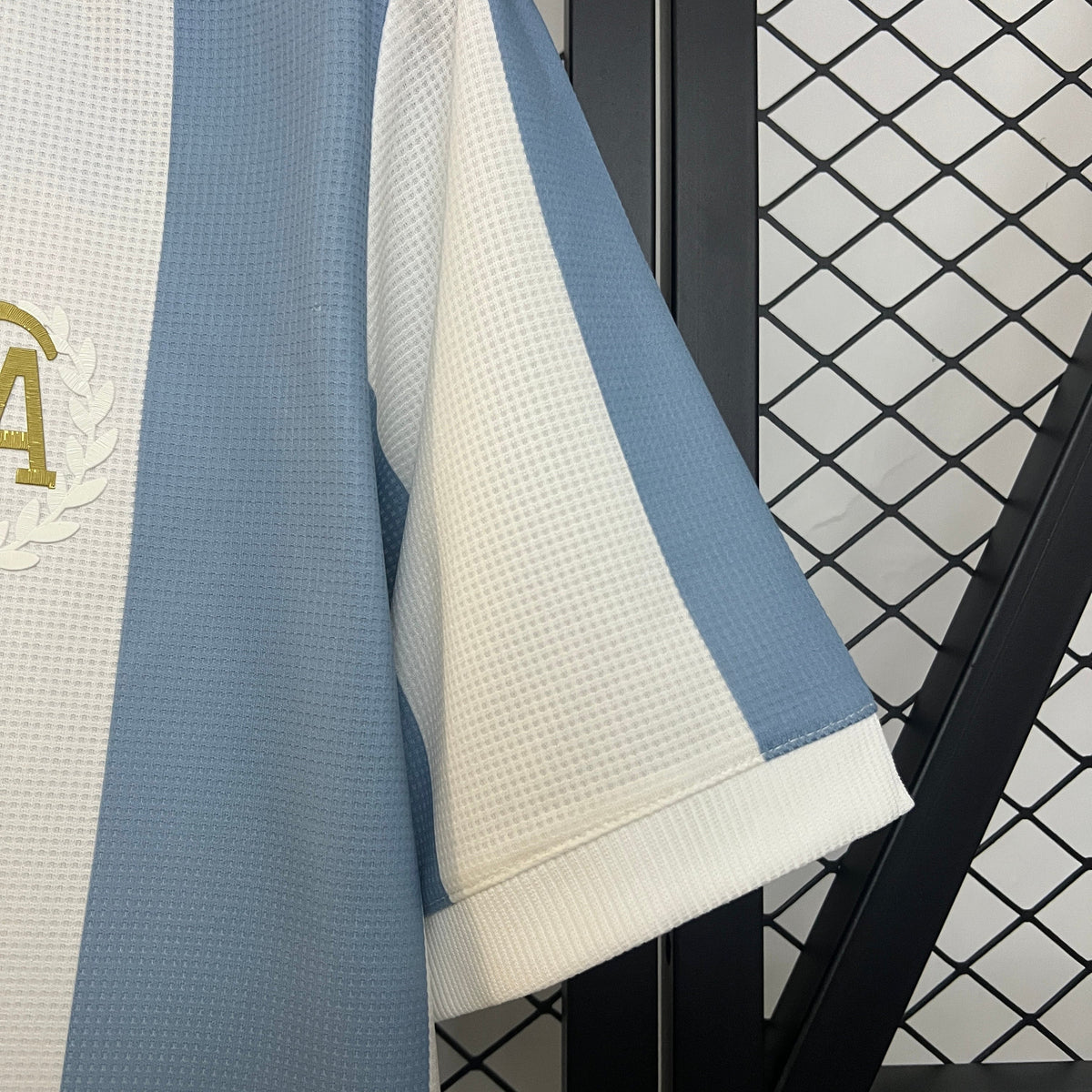 Argentina 2024 50 Aniversario (Fan Version)