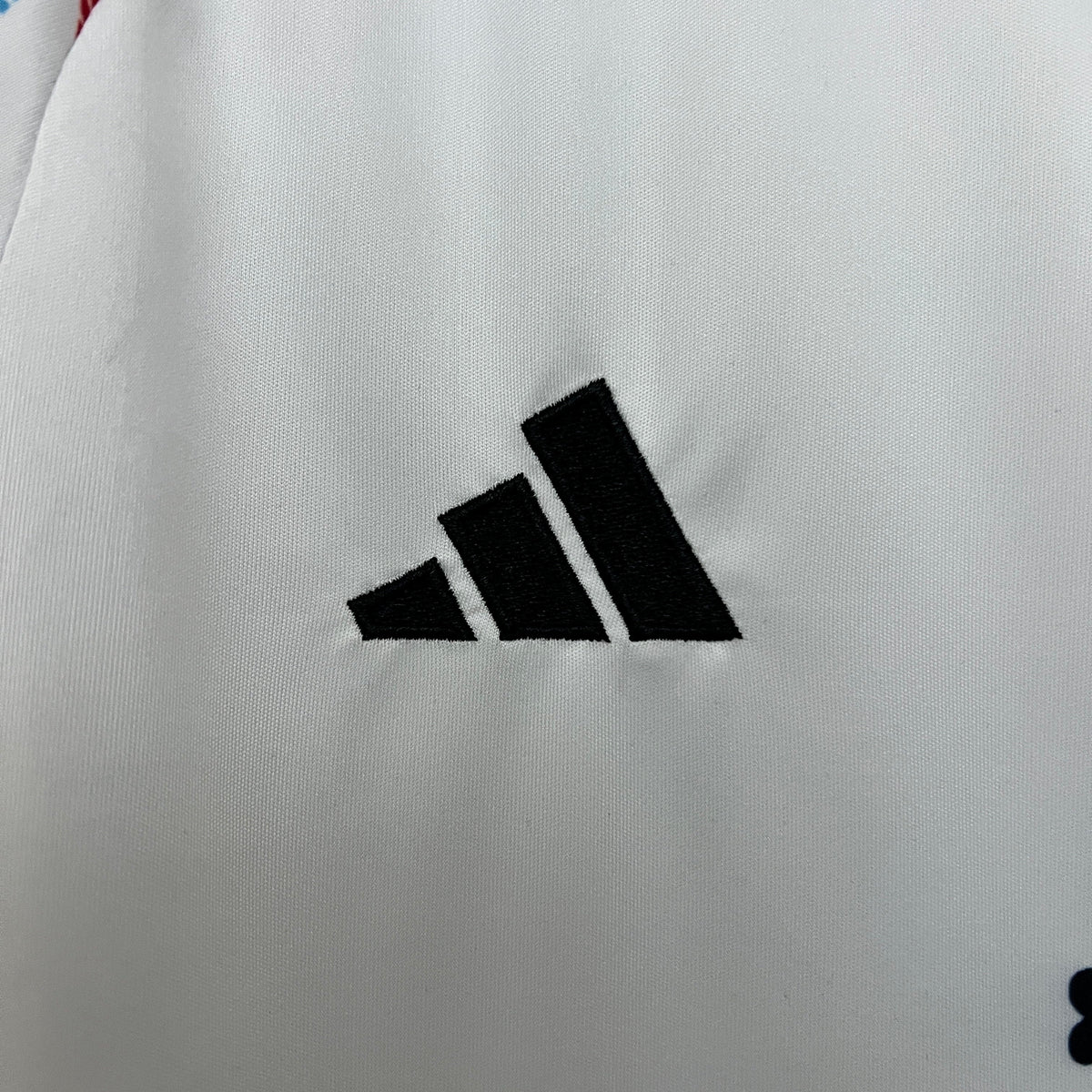 Japón 2024 Edición Especial 10 (Fan Version)