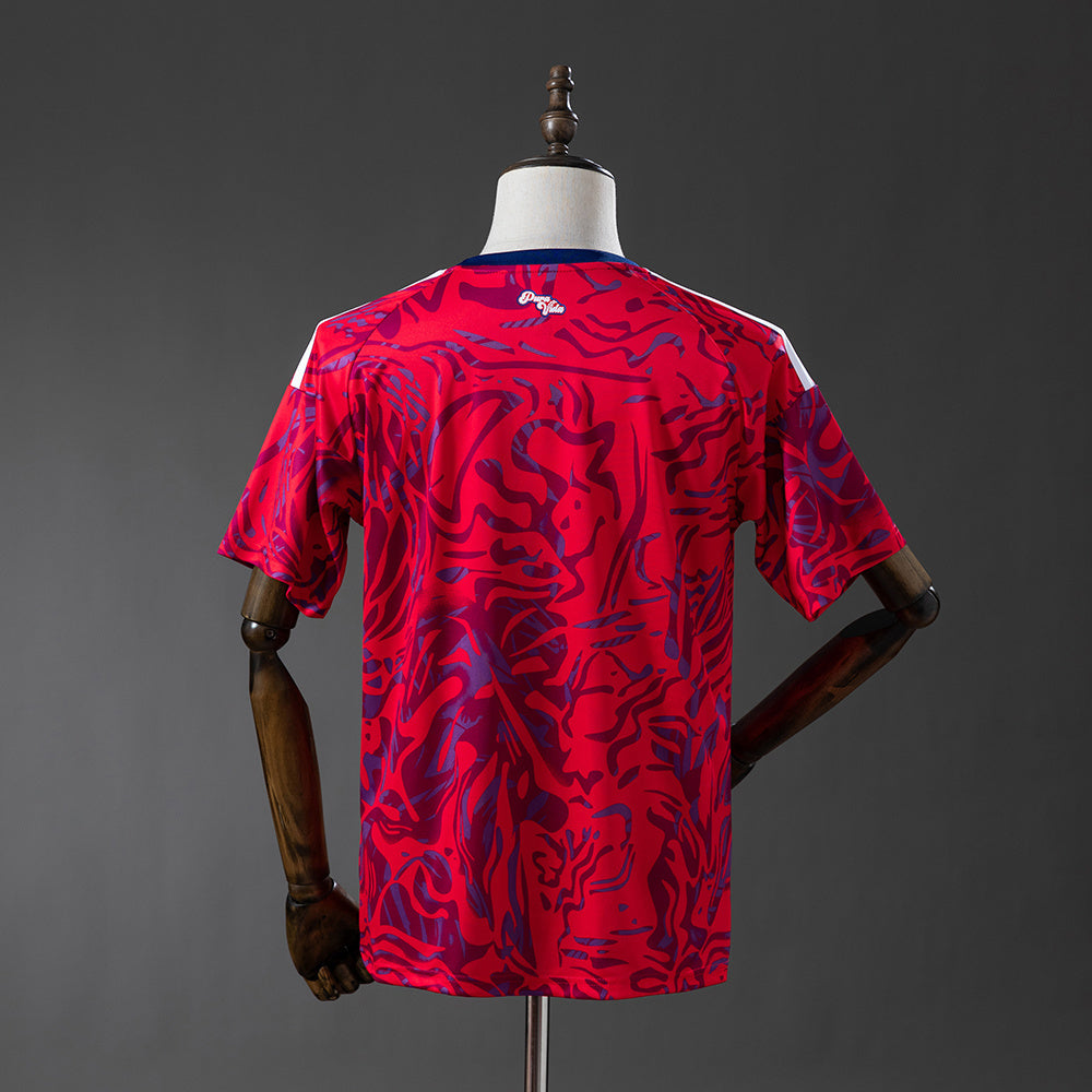 Costa Rica 2026 Local Mundial (Fan Version)