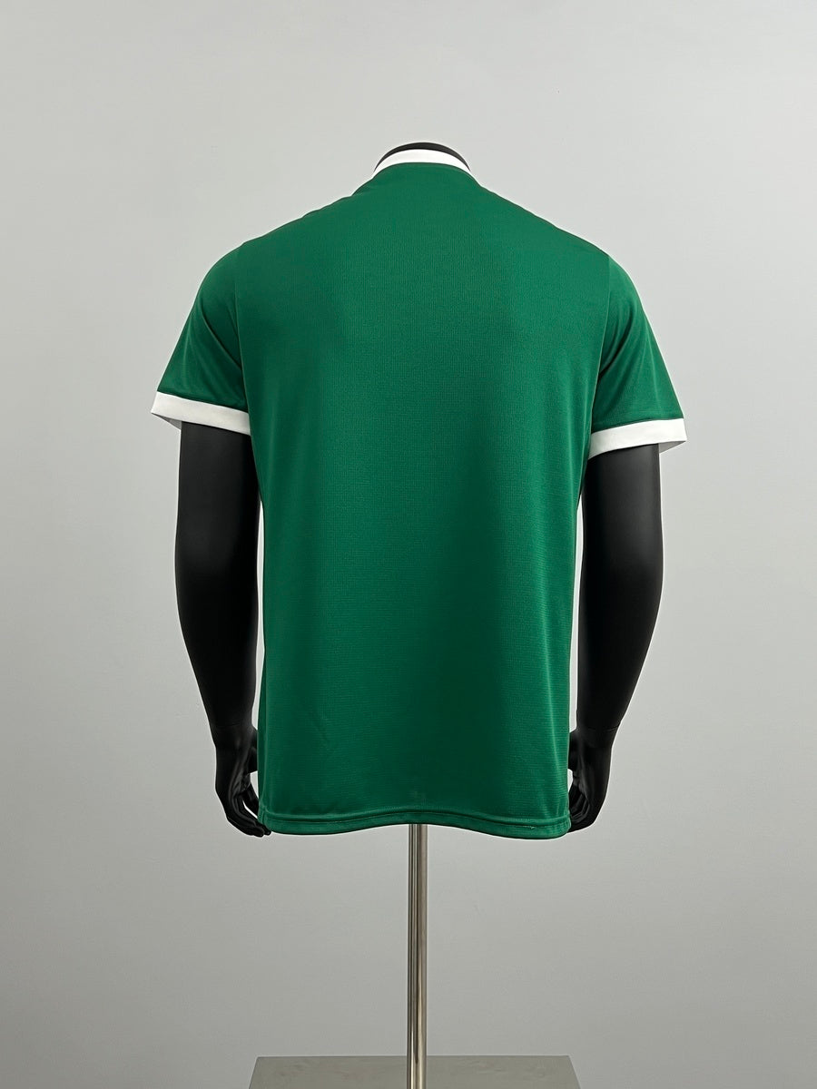 Palmeiras 2025 Local (Fan Version)