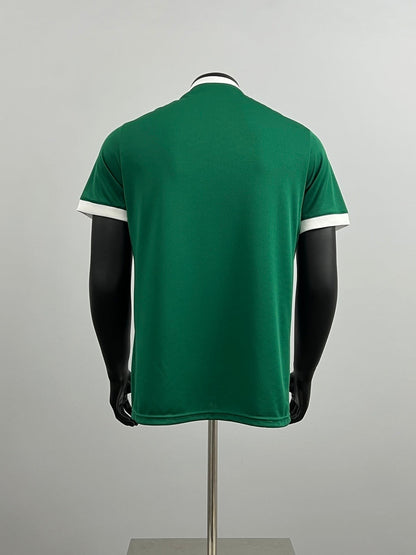 Palmeiras 2025 Local (Fan Version)