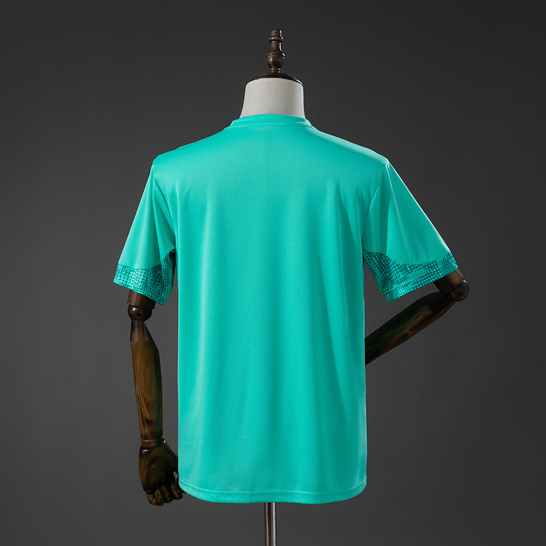 Palmeiras 26-27 Entreno (Fan Version)