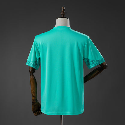 Palmeiras 26-27 Entreno (Fan Version)