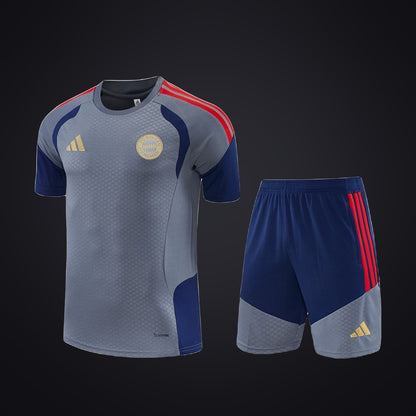 Bayern de Múnich 26-27 Edición Especial Gris (Niño) (delante)