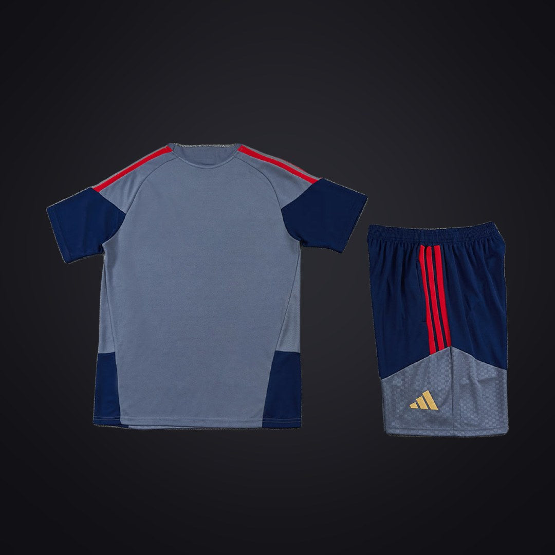 Bayern de Múnich 26-27 Edición Especial Gris (Niño) (detrás)