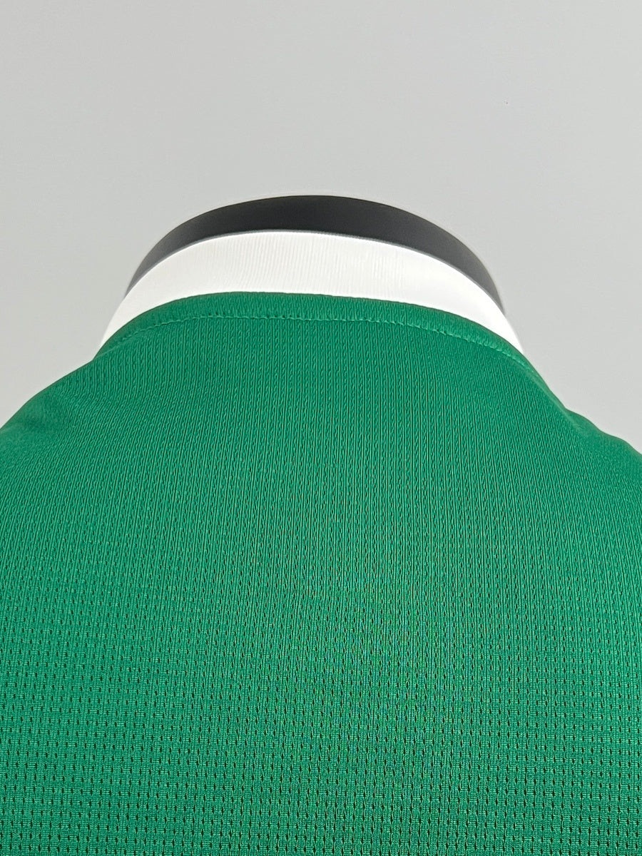 Palmeiras 2025 Local (Fan Version)