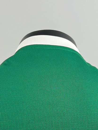 Palmeiras 2025 Local (Fan Version)