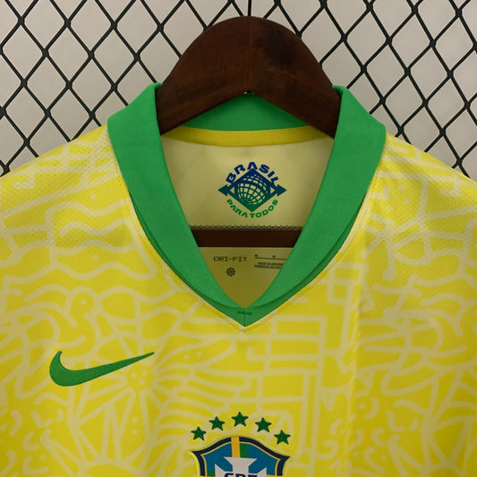 Brasil 2024 Local Copa América (Fan Version)