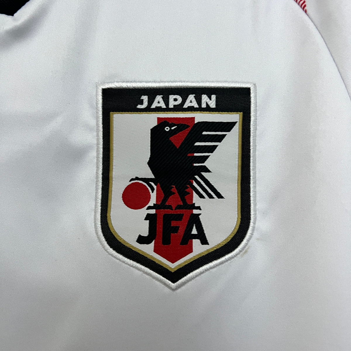 Japón 2024 Edición Especial 13 (Fan Version)