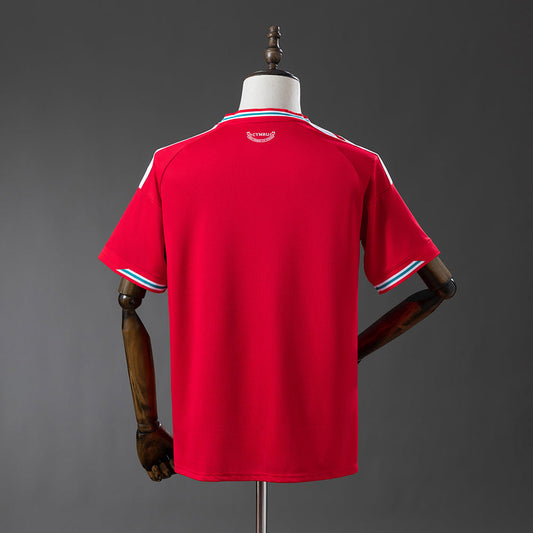 Gales 2026 Local Mundial (Fan Version)