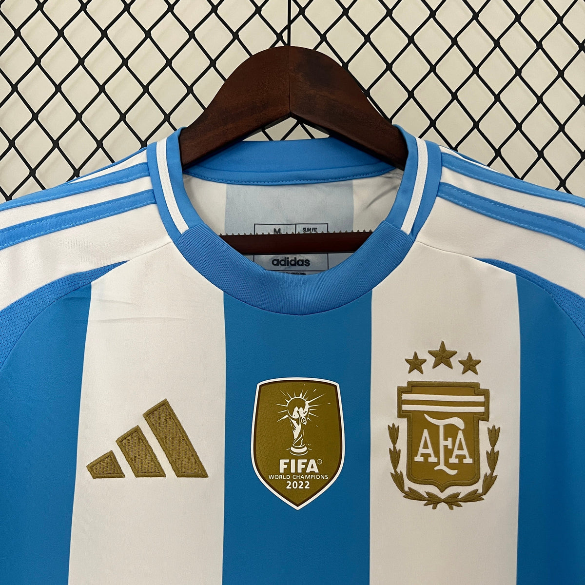 Argentina 2024 Local Copa América (Fan Version)