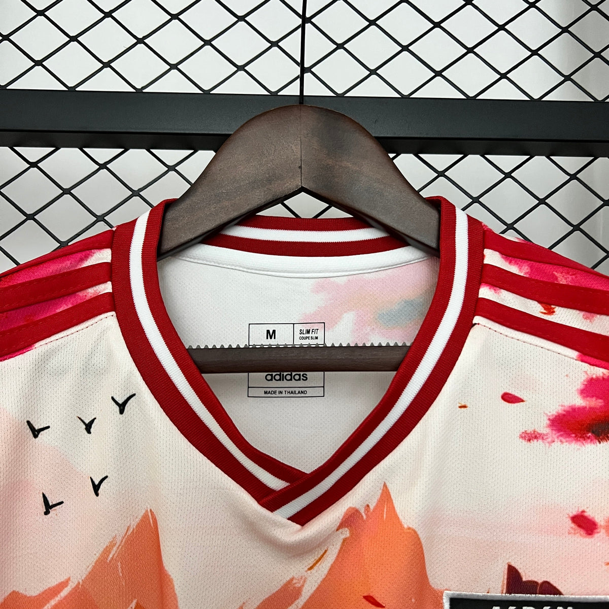 Japón 2024 Edición Especial 2 (Fan Version)