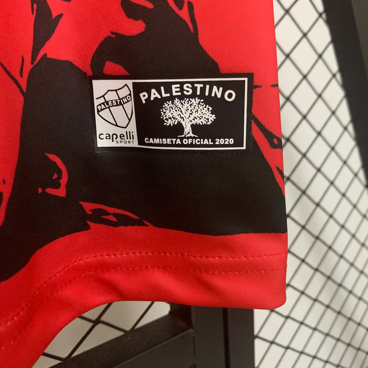 Palestina 25-26 Edición Especial (Fan Version)