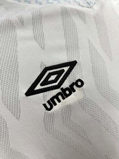 Santos 2025 Local (Fan Version)