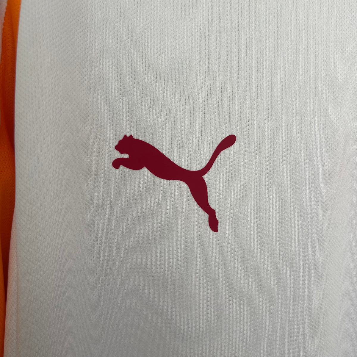 Galatasaray 25-26 Visitante (Fan Version)