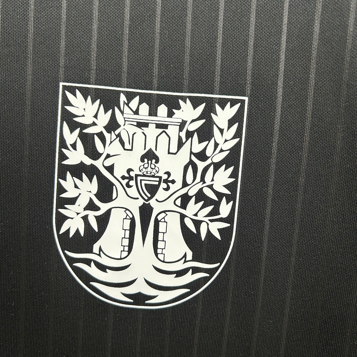 Celta 2025 100 Aniversario (Fan Version)