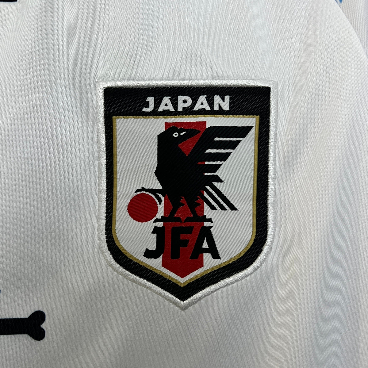 Japón 2024 Edición Especial 10 (Fan Version)